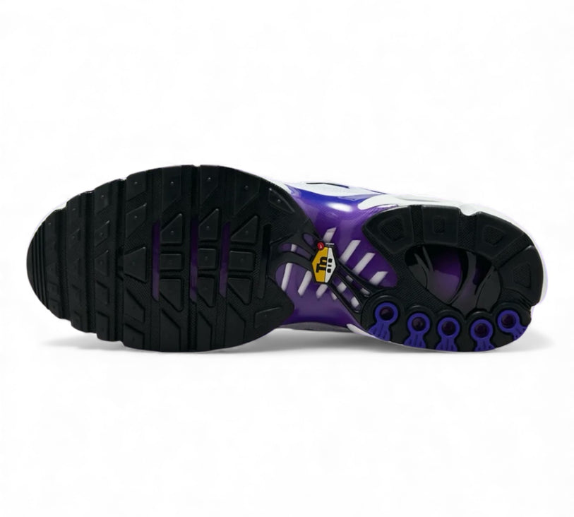Nike Air Max Plus TN 'Deep Night/Wild Grape' Men's