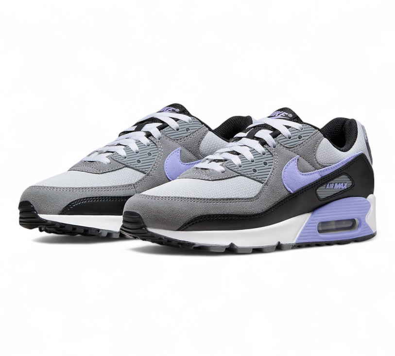 Nike Air Max 90 'Light Thistle' Men's
