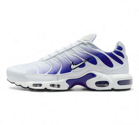 Nike Air Max Plus TN 'Deep Night/Wild Grape' Men's