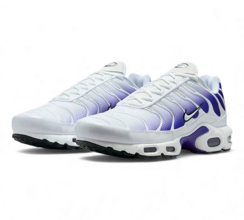 Nike Air Max Plus TN 'Deep Night/Wild Grape' Men's